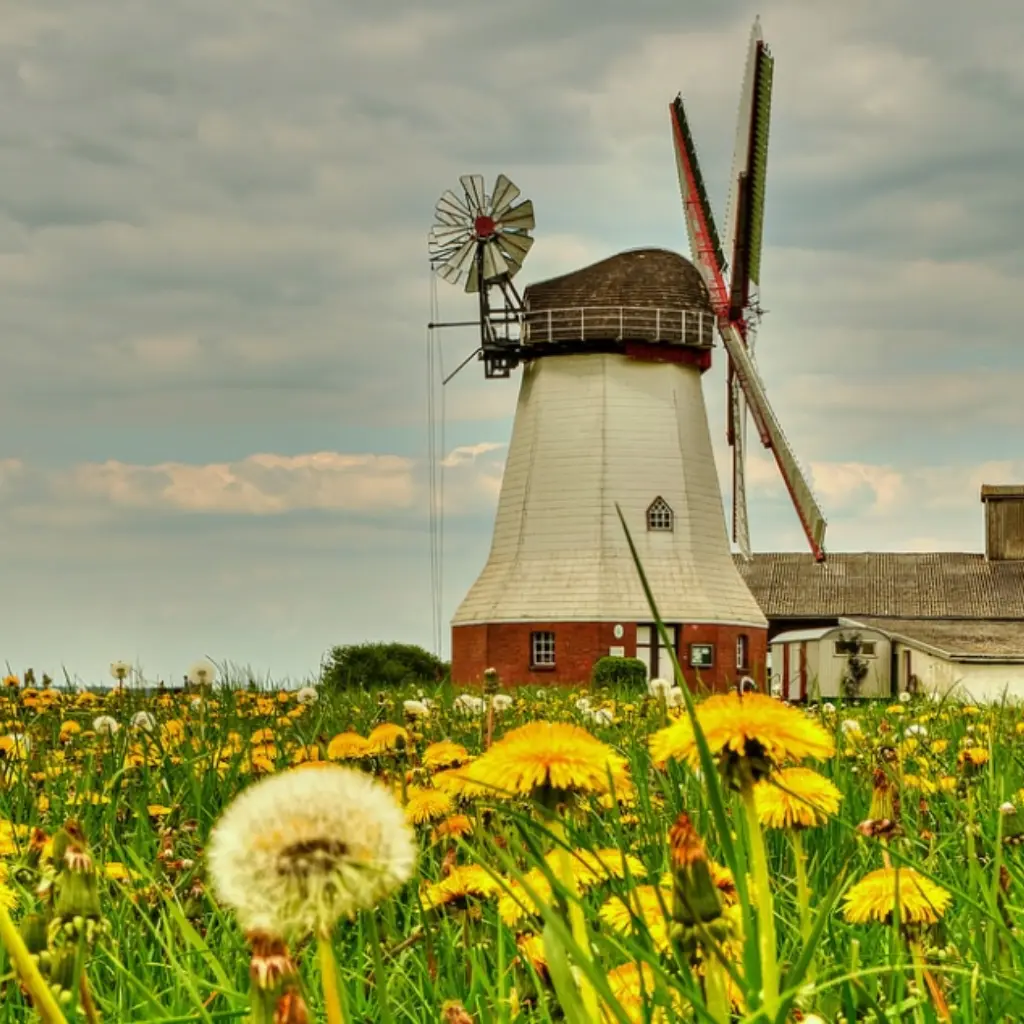 Windmühle