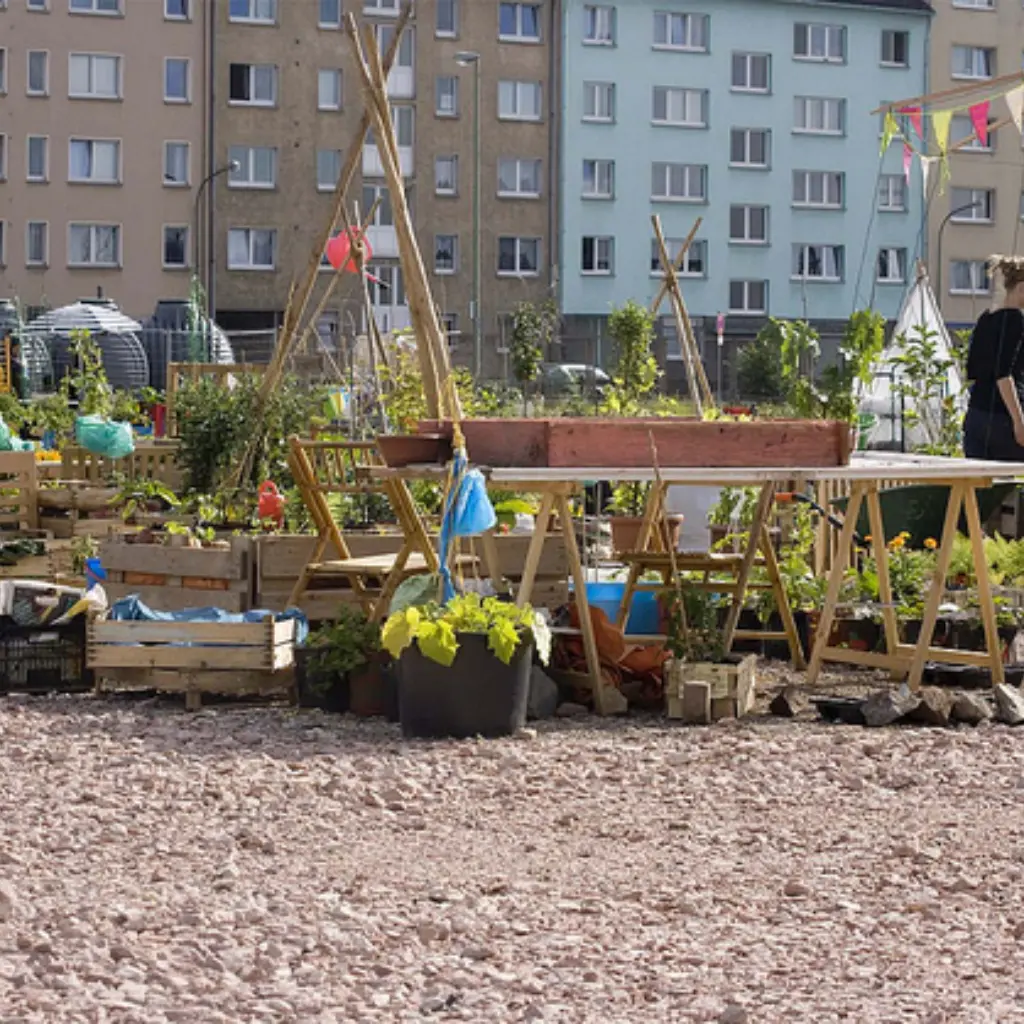 Urban Gardening in Offenbach