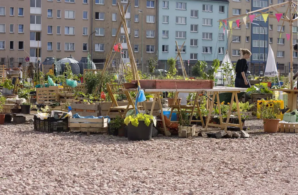 Urban Gardening in Offenbach