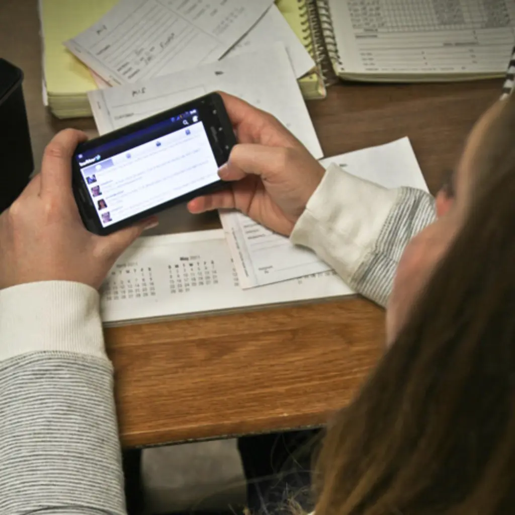 DigitalerEntzug_United-Soybean-Board_flickr_CC-BY_2-0_1