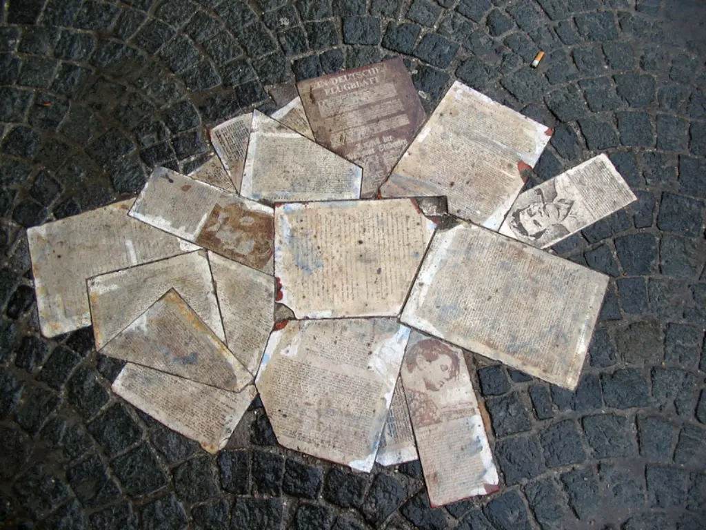 Weisse-Rose_Noirin-Shirley_flickr_CC-BY-NC_2-0