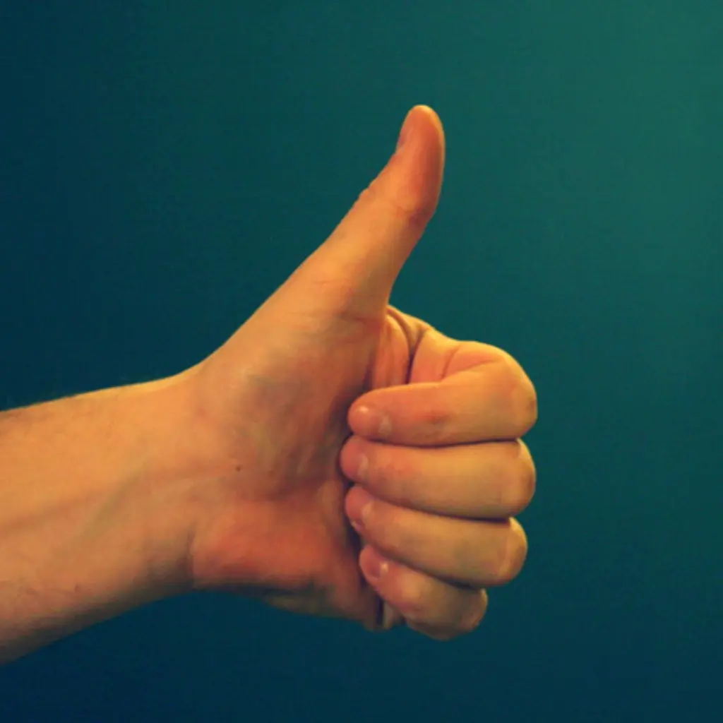 Like_Sarah-Reid_flickr_CC-BY_2-0_1