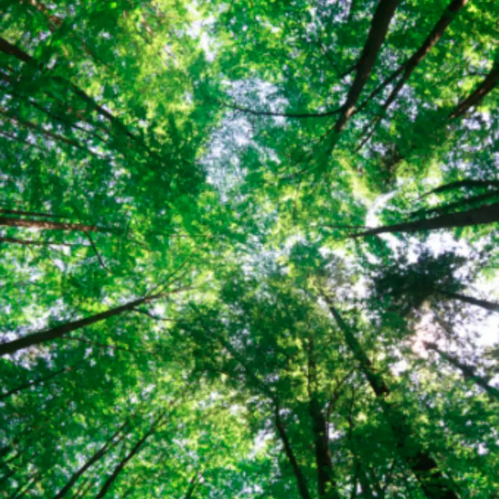 bildschirmfoto-2016-11-26-um-17-09-51