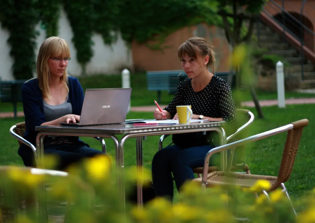 Ania i Paulina pogrążone w pracy.