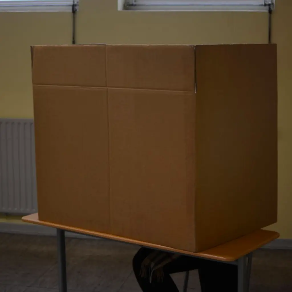 Wahllokal Diesen Foto: Daniel Heinz