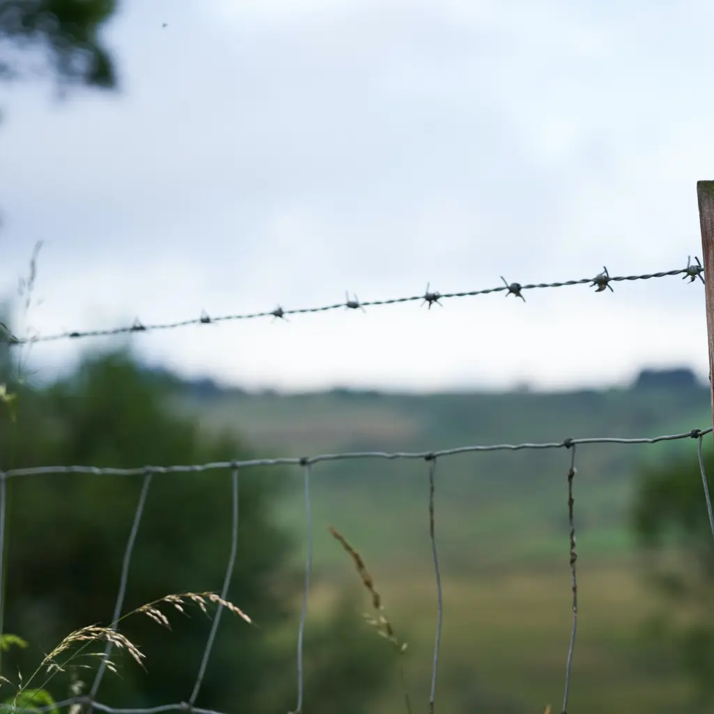 Foto Ingo Doerrie (Unsplash) CC0 Lizenz (1)