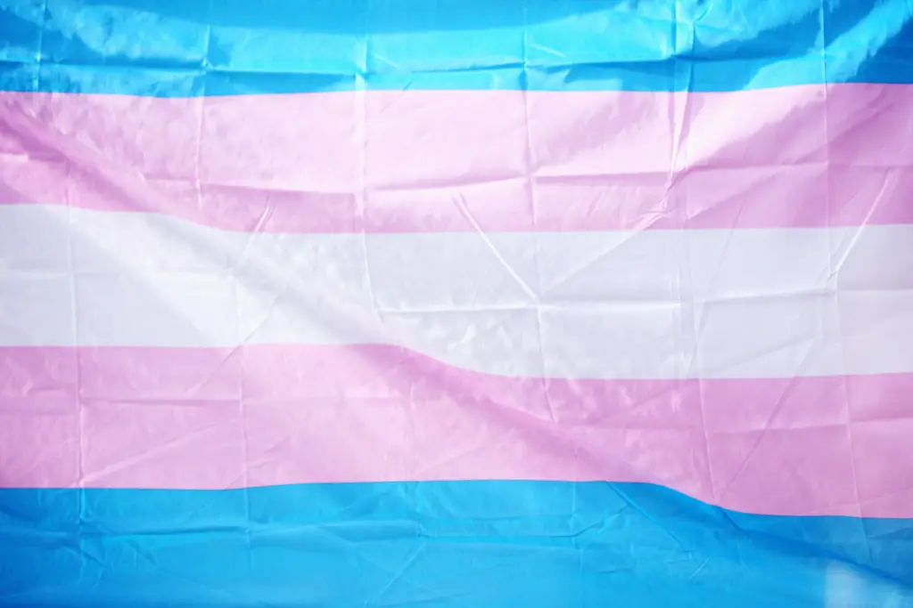 Trans flag - Unsplash, Sharon McCutcheon, frei