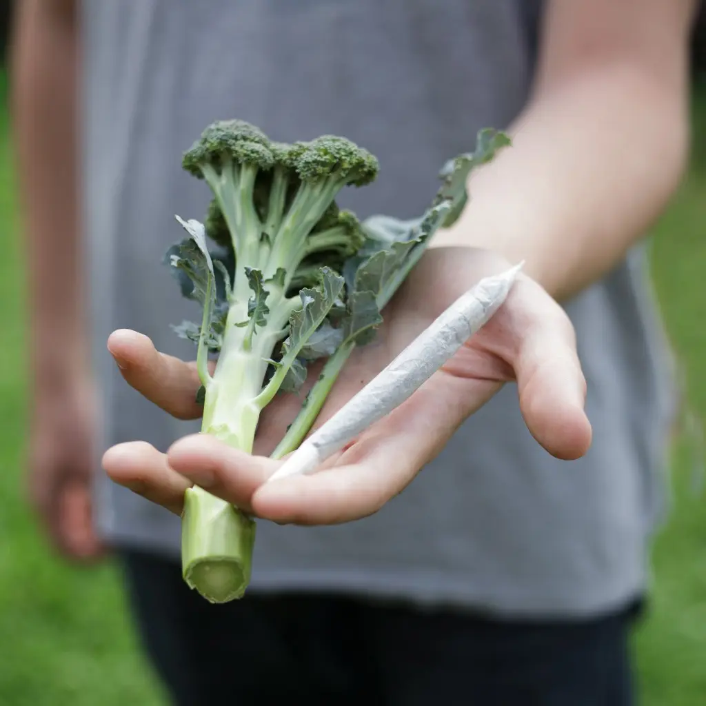 Foto: Christopher Folz