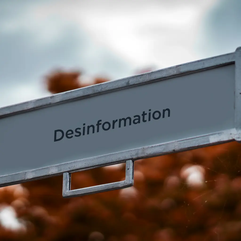 des-Information