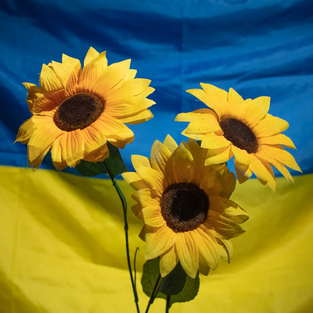 Artikel-Athena-high-res-1