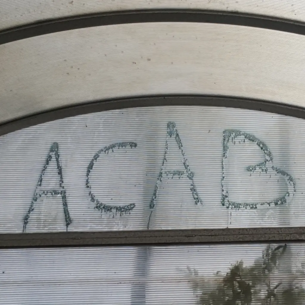 All cats are beautiful?